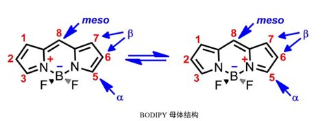 氟硼二吡咯 BODIPY 类荧光染料的光化学物理性能