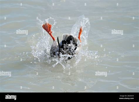 Rippling Curtain Hi Res Stock Photography And Images Alamy