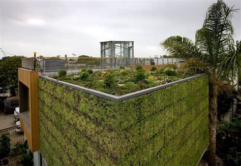 View Full Picture Gallery Of Brooks Avenue House Green Roof Green