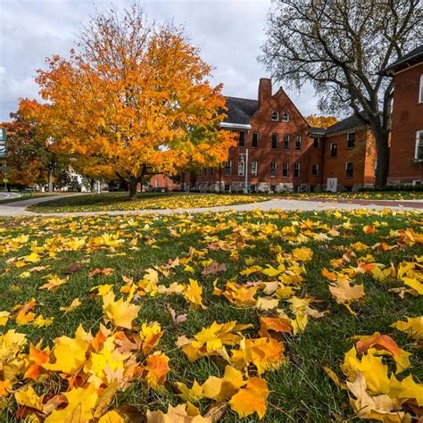 Fall In Love With Campus Campus Michigan State University Midwest