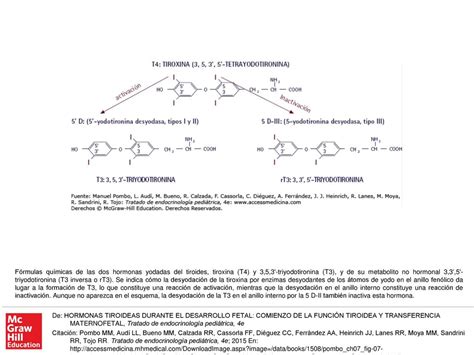 Fórmulas químicas de las dos hormonas yodadas del tiroides tiroxina