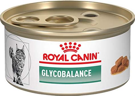 Top 10 Royal Canin Diabetic Wet Cat Food