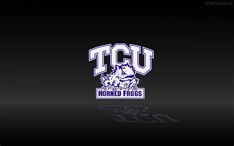 Tcu horned frogs, Horned frogs, Tcu