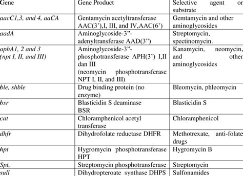 Antibiotics Selection Markers Used For Plant Transformation Download Table