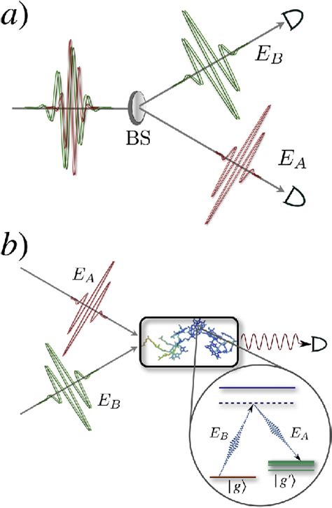 A Measurement Of The Photon Coincidence Signal 2 The Two Fields E Download Scientific