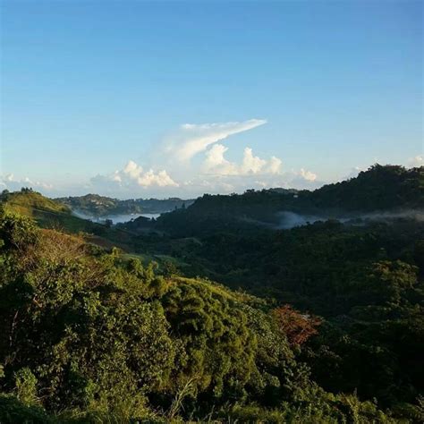 Barranquitas, Puerto Rico | Puerto rico pictures, Puerto rico, Natural ...