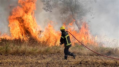 Risques dincendies en France ce que dit la météo des forêts pour les