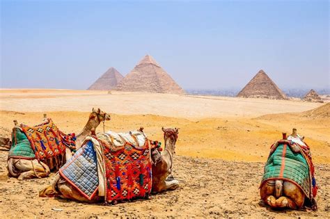 Day Trip To Luxor And Cairo From Marsa Alam Egypt Marsa Alam Tours