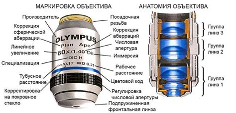 Микроскоп оптический: современные модели, характеристики. Купить в Москве