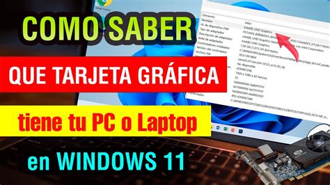 Como Saber Que Tarjeta Grafica Tiene Mi Pc O Laptop En Windows 11 Youtube