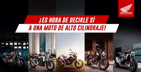 ¿eres Motero Experto Estas Motos De Alto Cilindraje Son Para Ti