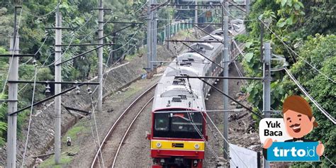 Perjalanan KRL Arah Serpong Terganggu Akibat Pohon Tumbang