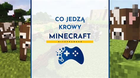 Krowa w Minecrafcie co jedzą krowy w Minecraft Portal dla graczy