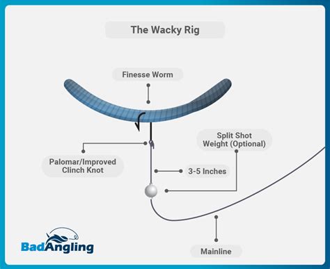 A Pros Guide How To Fish A Wacky Rig For Bass Badangling