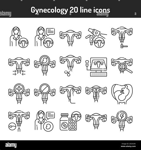 Gynecology Black Line Icons Set Female Reproductive System Medical