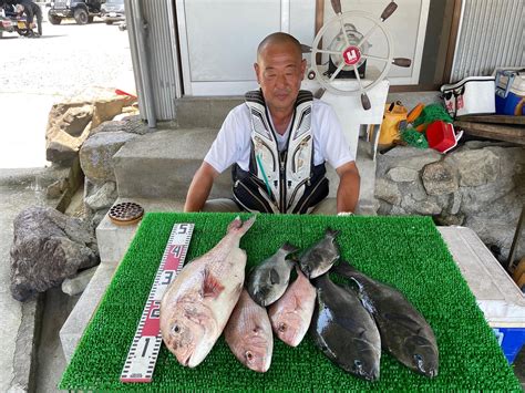 磯釣りで真鯛53㎝まで3枚・グレ40㎝まで4枚・ゲット！ 一栄丸渡船｜三重県紀北町