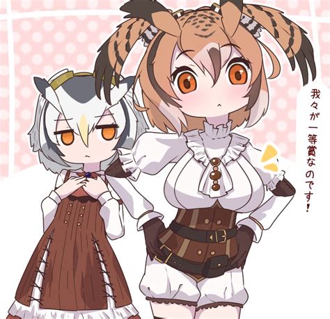 ワシミミズクけものフレンズ アフリカオオコノハズクけものフレンズ 「ジャパリパークの一等賞なのですけものフレンズ けもフレ3