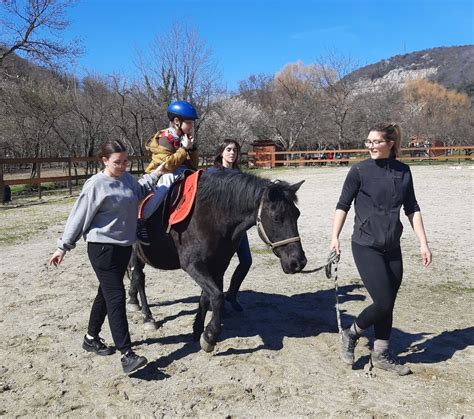 U Udruzi Pegaz Odr Ana Volonterska Akcija Za U Enike Ekonomske Kole