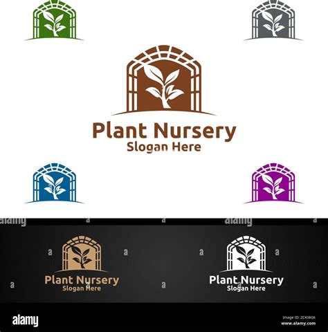 Nursery Flowering Plants Stock Vector Images Alamy