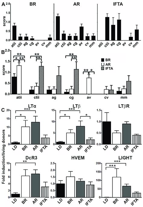 Upregulation Of Lt Mrnas In Human Renal Allograft Biopsies A