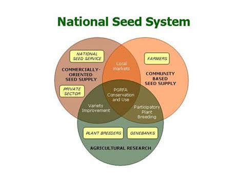 Seed Systems Seed Production And Delivery