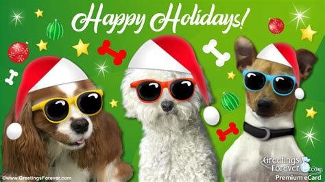 Christmas ecard with funny dogs - Christmas, ecards