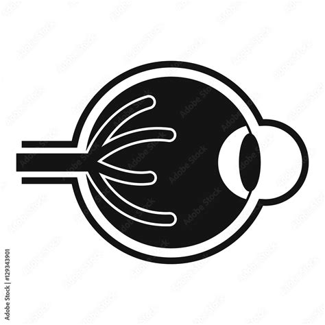 Human Eyeball Icon Simple Illustration Of Human Eyeball Vector Icon