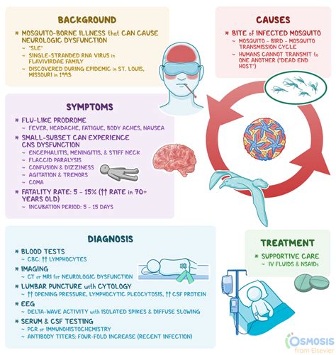 St. Louis Encephalitis Virus: What It Is, Transmission, Signs, Symptoms ...