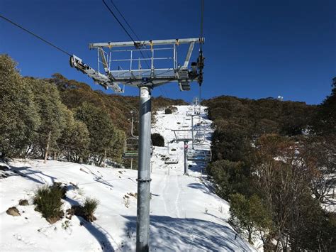 Mount Buller Tour From Melbourne 클룩 Klook 한국