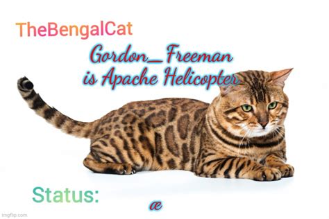 Thebengalcat Annoucment Template Imgflip