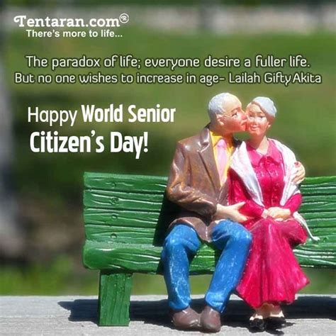 World Senior Citizens Day 2021 Happy Senior Citizen S Day Wishes