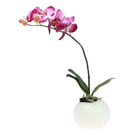 Floristik It Orchidee Artificiali In Vaso Phalaenopsis Fiori