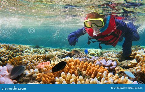 Child Snorkeling in Great Barrier Reef Queensland Australia Stock Photo - Image of exploring ...