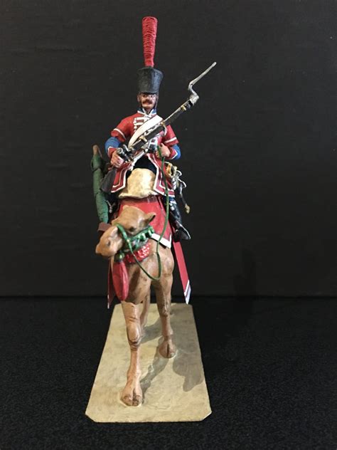 Charles Stadden 54mm French Dromedary Corps Jims Vintage Toy Soldiers