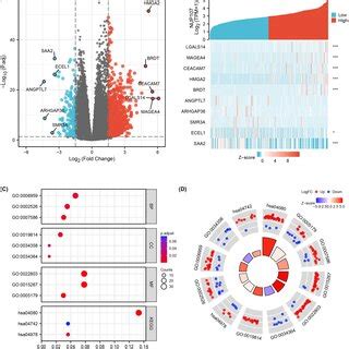 Identification And Functional Annotation Of Differentially Expressed