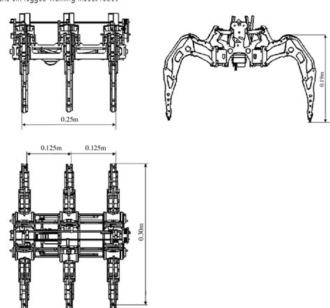 Robot Spider Blueprints