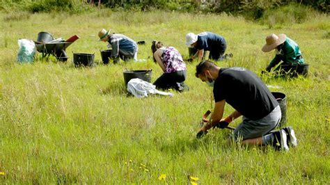 Impulsan un proyecto de conservación y restauración de hábitats en la