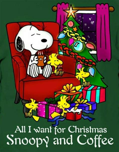 Pin De Larry Kaelin En Charlie Brown Photos Snoopy Navidad Snoopy