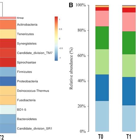 Distribution And Structure Of Microbial Community At The Phylum Level