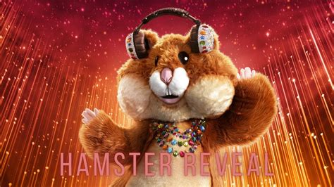 Hamster Revealed The Masked Singer Season 6 Youtube