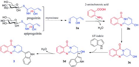 Putative Biosynthetic Pathway Of 3 Download Scientific Diagram