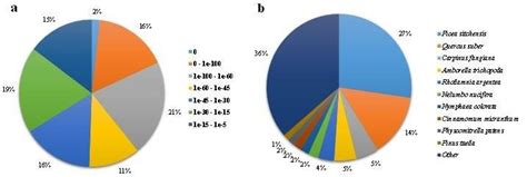 Characteristics of the homology search of unigenes against the Nr ... 