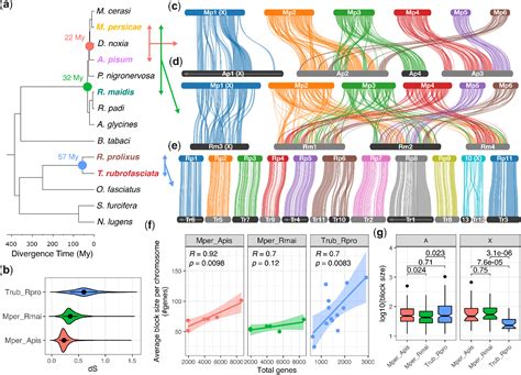 Figure 2 From Chromosome Scale Genome Assemblies Of Aphids Reveal Extensively Rearranged