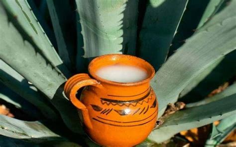 Pulque La Bebida De Los Dioses Te Contamos Por Qu Se Conoce As El