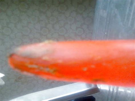 Olga Novikova Anal Porn Pictures XXX Photos Sex Images PICTOA