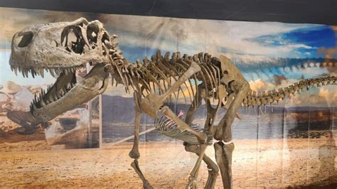 New Exhibit Comes To Dinosaur World | Plant City Observer