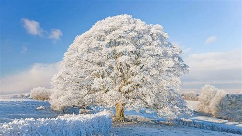 Bing HD Wallpaper Feb 28, 2022: Winter in England s Cotswolds - Bing Wallpaper Gallery