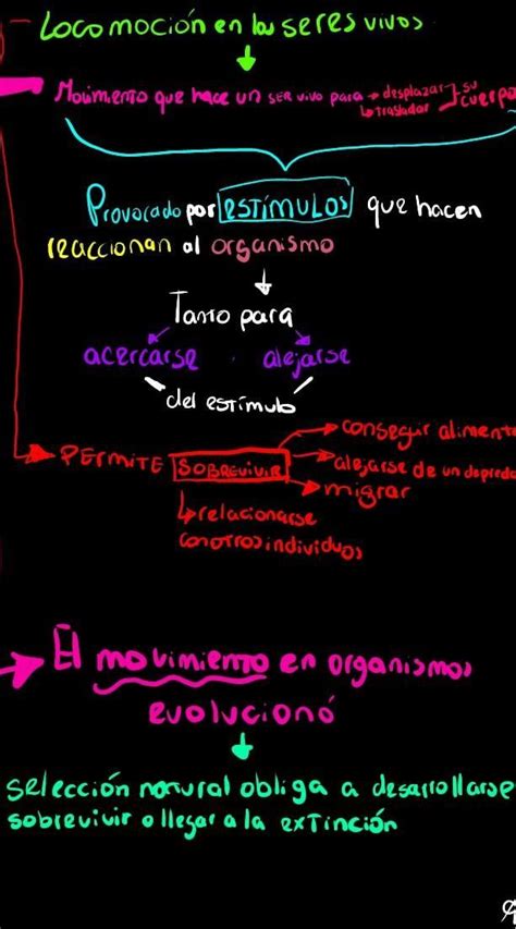 Hacer Un Mapa Conceptual De Locomoci N En Los Seres Vivos La