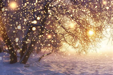 Christmas. Nature. Winter Landscape with Shining Snowflakes. Glowing ...