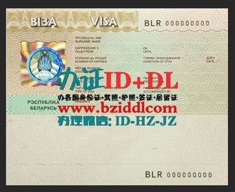 白俄罗斯签证psd模板belarus Visa Psd Template 办证id Dl网